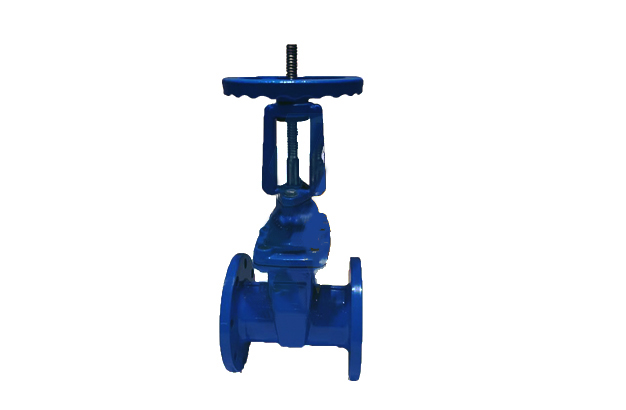 AWWA Rising Stem Resilient Seated Gate Valve